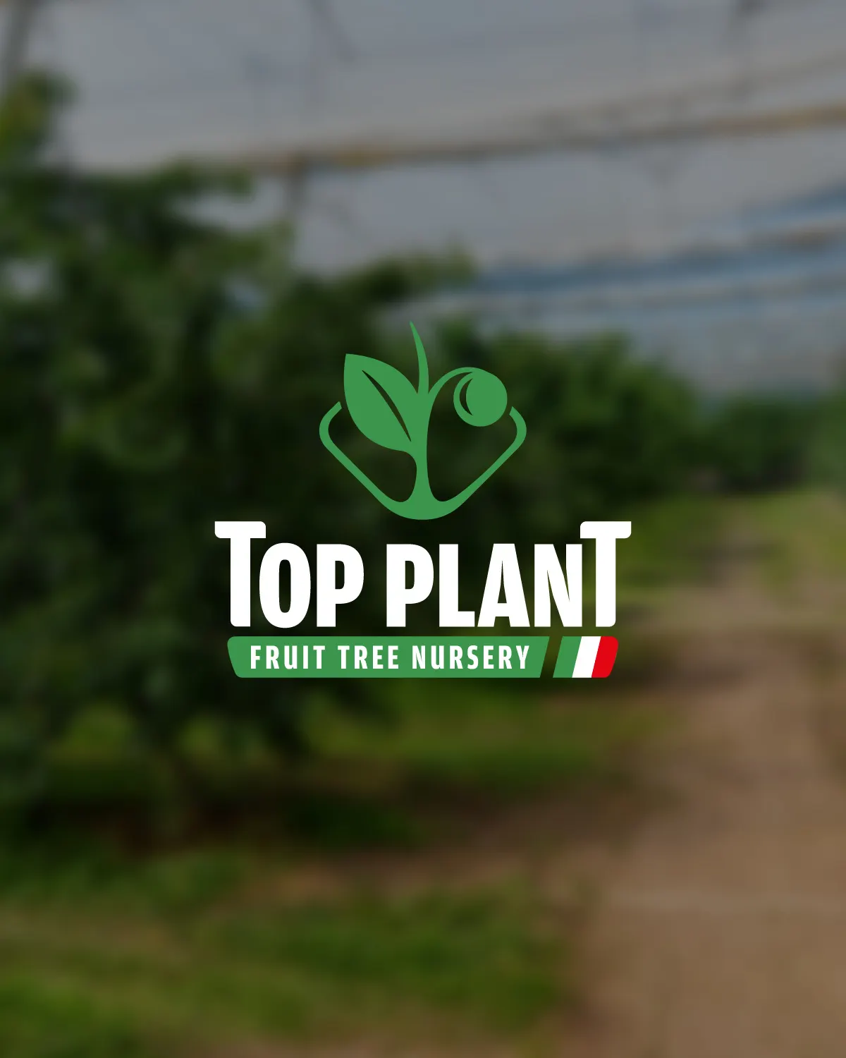 Anteprima logo Top Plant